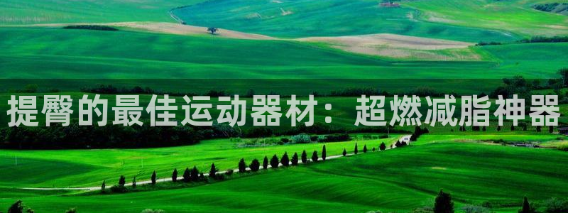 yy易游体育官方正版app娱乐首页网站大全:提臀的最佳运动器