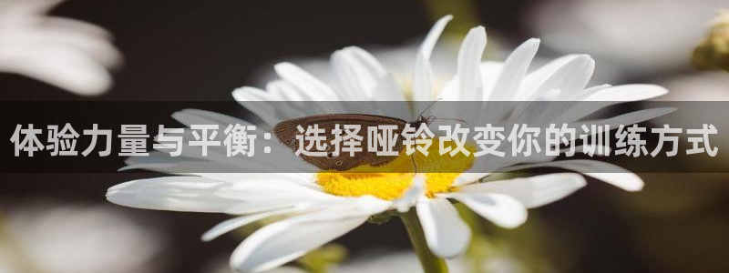 yy易游体育官网下载平台注册流程视频:体验力量与平衡:选择哑