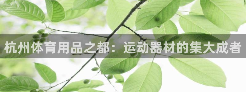 yy易游体育官方正版app开户:杭州体育用品之都:运动器材的