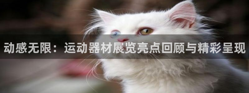 yy易游体育官网下载软件:动感无限:运动器材展览亮点回顾与精