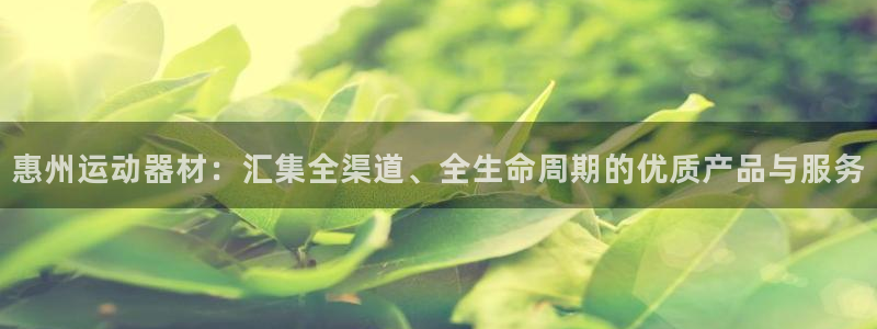 yy易游体育官网下载招商电话号码查询是多少:惠州运动器材:汇