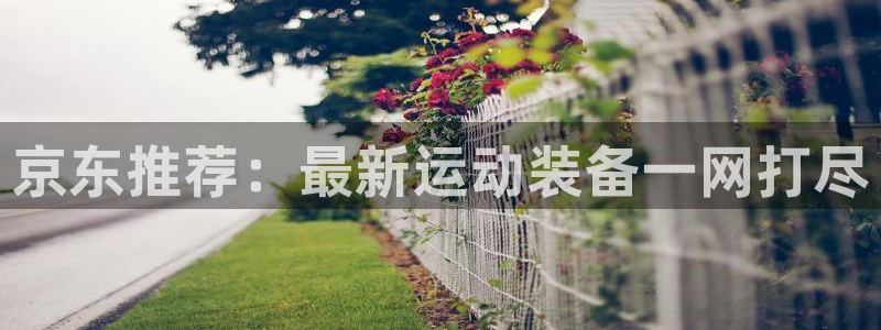 yy易游体育官网下载联系电话:京东推荐:最新运动装备一网打尽