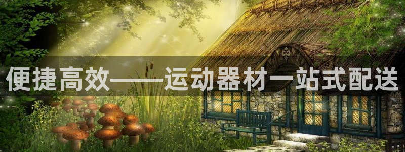 yy易游体育官方正版app科技:便捷高效——运动器材一站式配