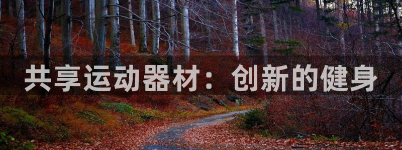 yy易游体育官方正版app科技:共享运动器材:创新的健身